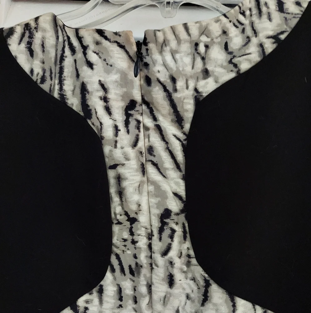 PARKER DRESS - Picture 7 of 8